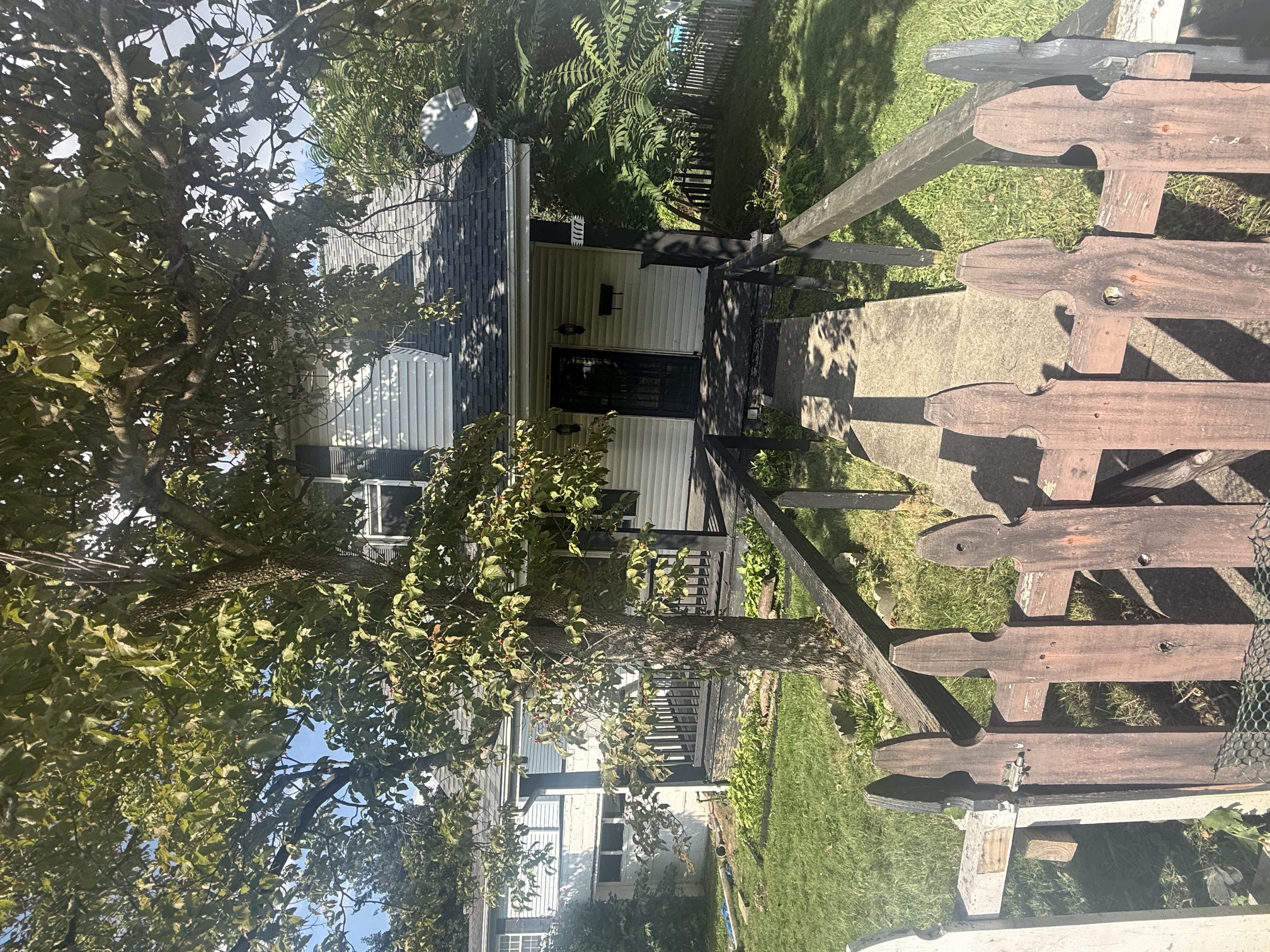 1117 Forest Avenue